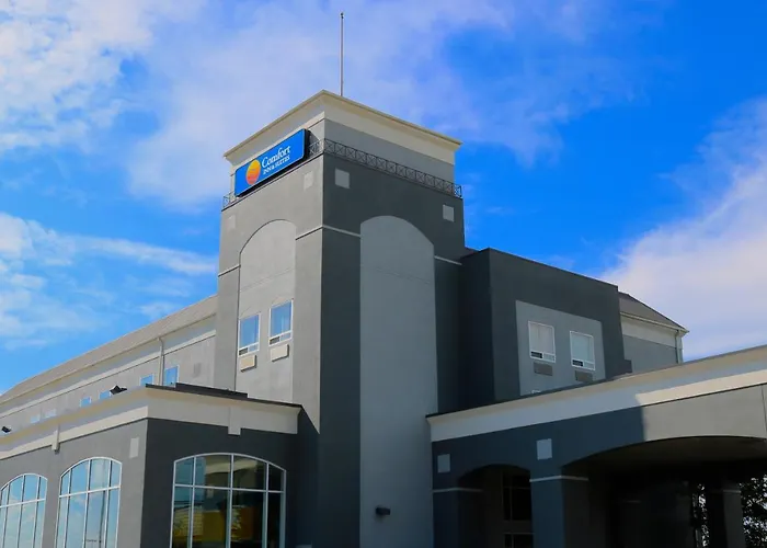 Comfort Inn & Suites Airport South