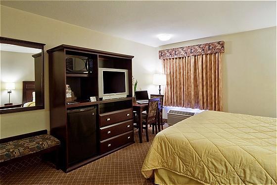 Hotel Comfort & Airport South